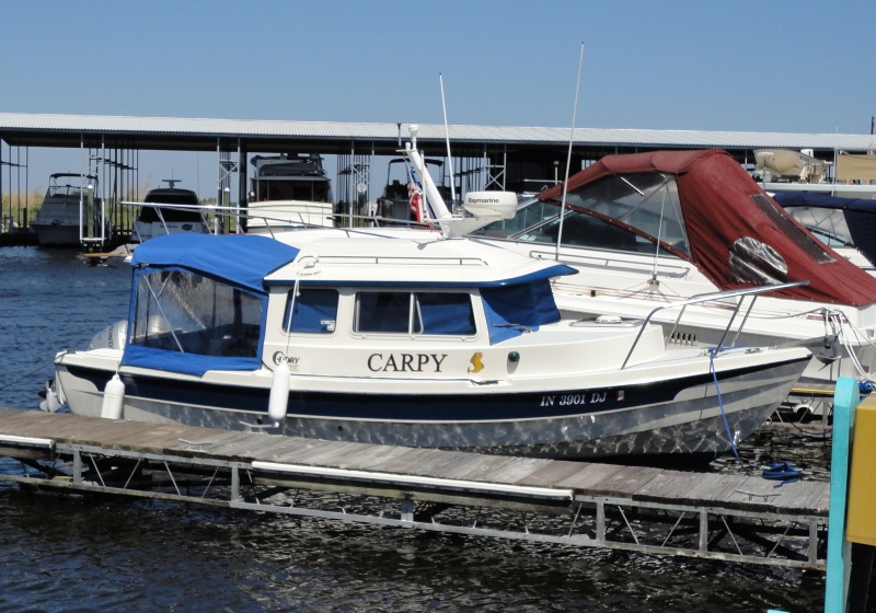 Carpy on the St John\'s River