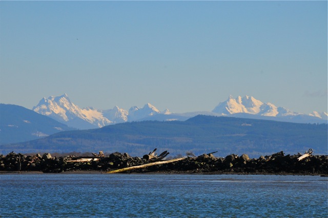 Cascades from S. entrance to Swinomish Channel 2/19/11