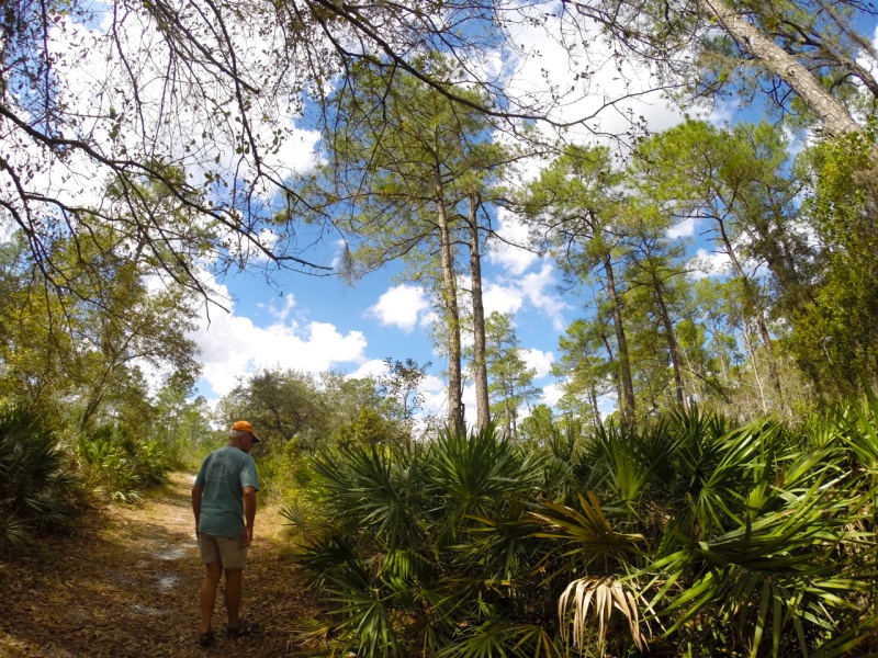 Casey (Dessert 1st) hiking on the nature trail.  Look at that beautiful Florida sky!