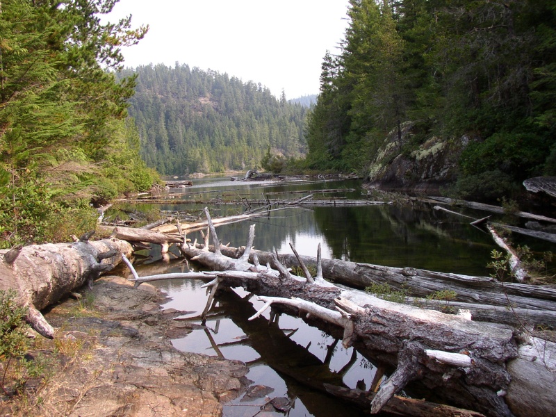 Cassil Lake