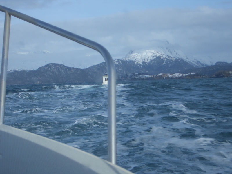 (catdogcat) 4/5 foot seas.  They always seem to look bigger in person.