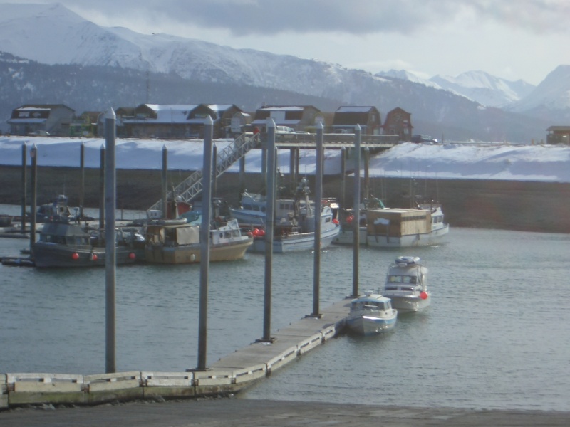 (catdogcat) At the Homer marina.  Thats my uncle behind me.
