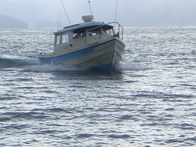 (catdogcat) Dang nice boat