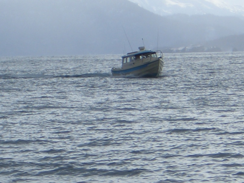 (catdogcat) Nice boat