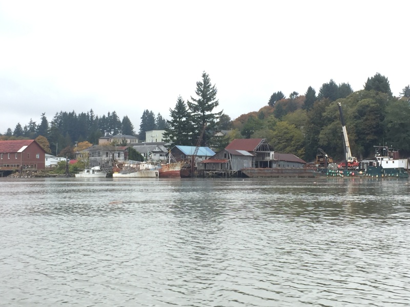 Cathlamet shoreline