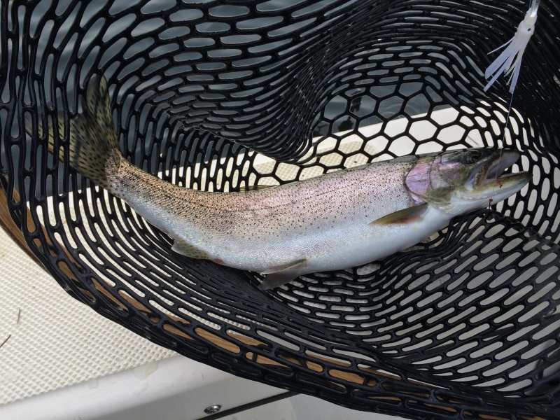 Cedar river drainage. Come on a wiggle hootchie. Afternoond