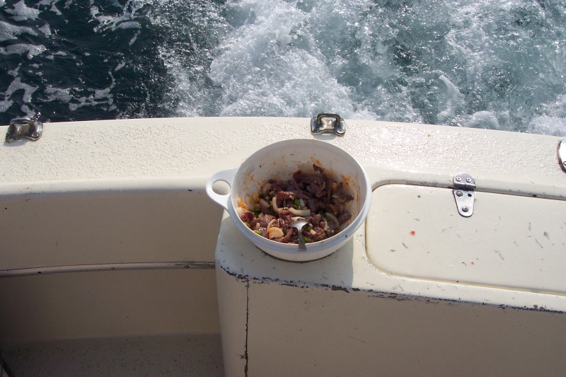 Ceviche!!