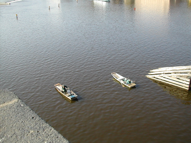 CharlesRiverHogline
