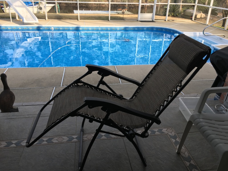 Chase lounge 25\" x 48\"