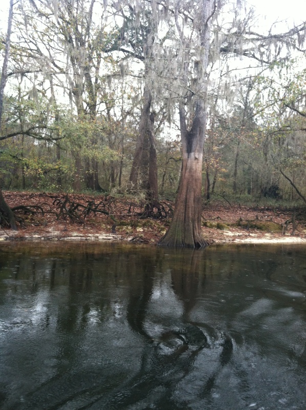 Check out the high water mark. Would not like to be on this river when she\'s running at flood stage.