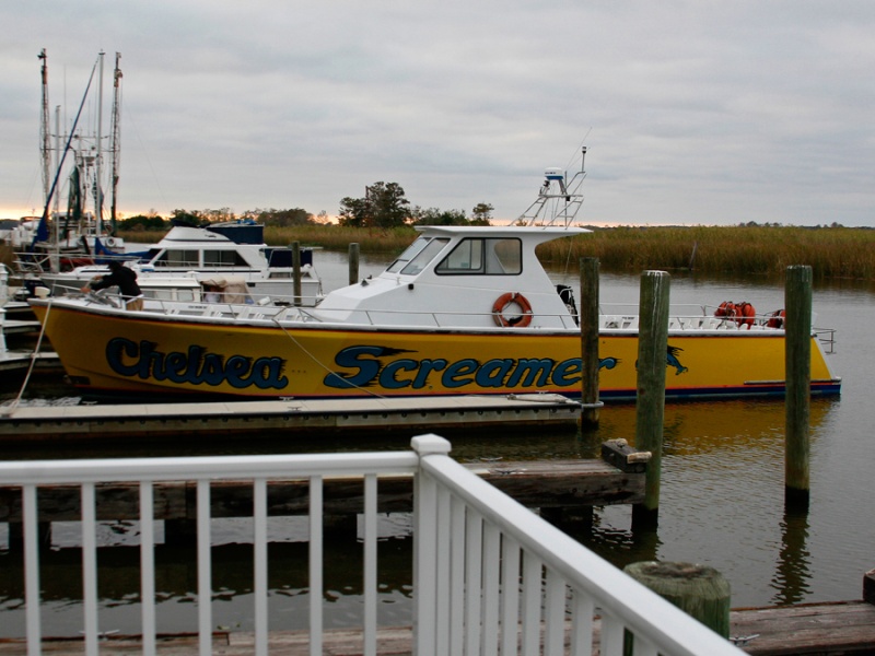 Chelsea Screamer: Brought down from New York City Harbor enroute to Biloxi, this 50 passenger, 55 ft, 1600 HP excursion boat rolled in next to us just before dark. When she left the next morning we could hear her slow for the RR bridge near John Bones house 5 miles away. What a ride............