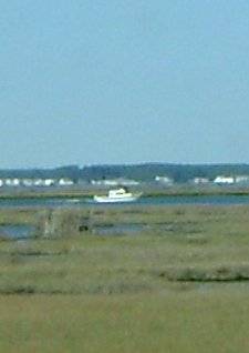 Chincoteague Dory