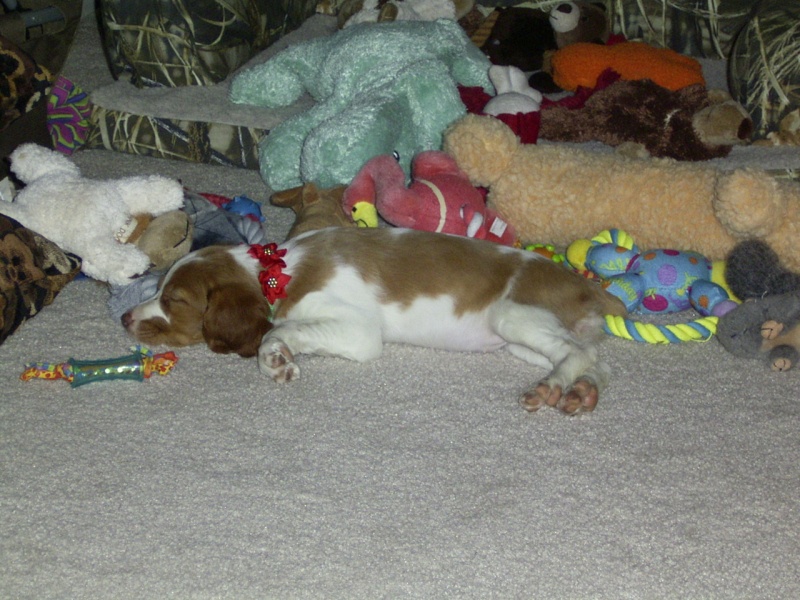 Chloe just chillin