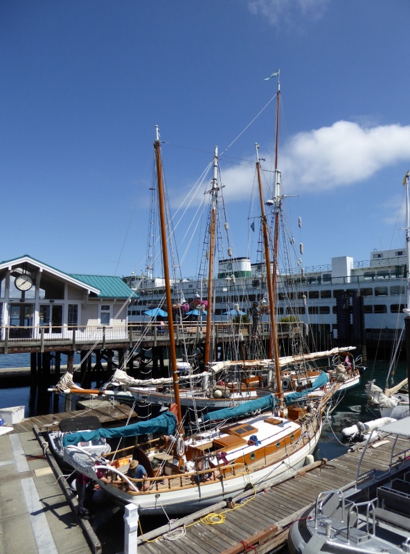 Classic sailing boats at Friday Harbor