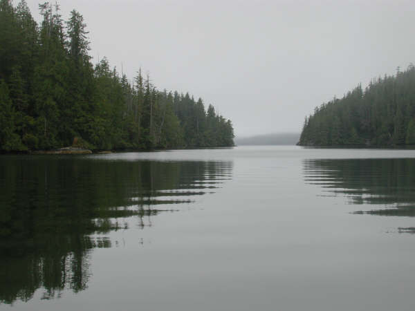 Clayoquot Sound