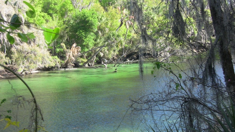 clear beauty-Blue Springs