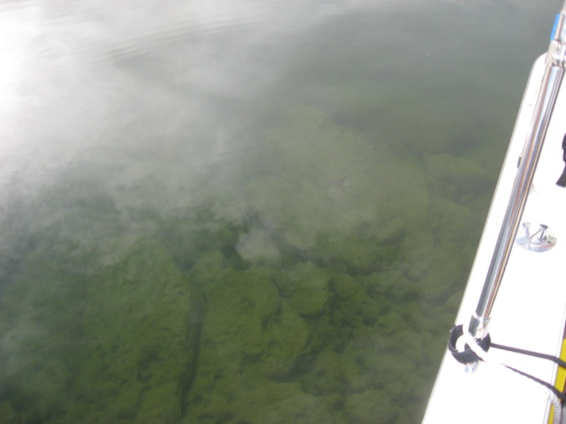 clear water 8 ft deep