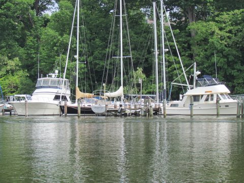 Clements Creek off the Severn River