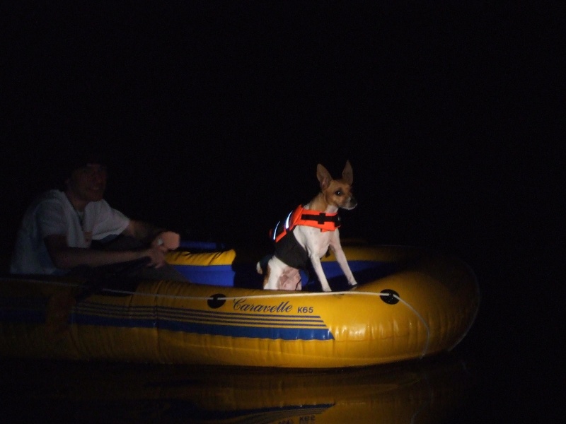 Cloie Keeping Watch over Matia Island