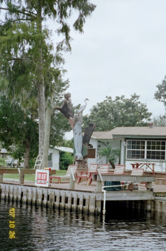 Closer still..of the carved tree in Astor Florida..really neat tree !