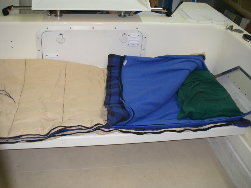 cockpit fold out bed