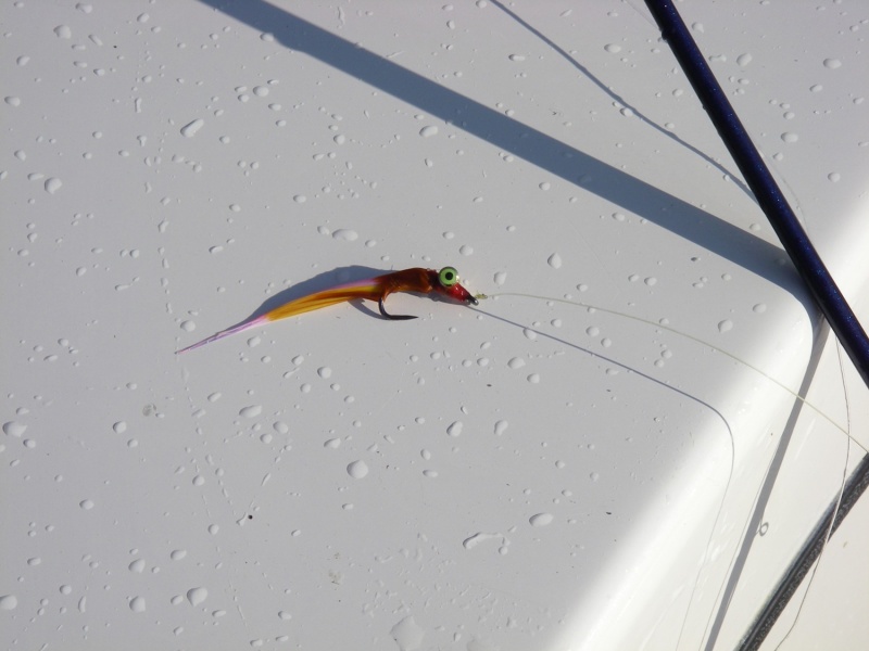 Coho fly