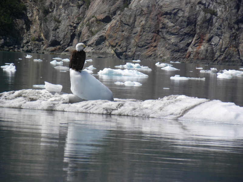Cold Feet
