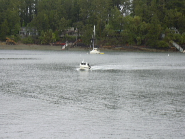 Coming into the dock