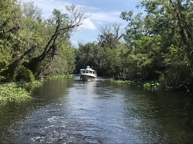 Coming out of the canal between St. John\'s River and Hontoon Dead River, during the Hontoon Loop Tour