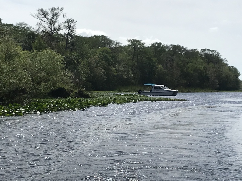 Coming out of the canal between St. John\'s River and Hontoon Dead River, during the Hontoon Loop Tour