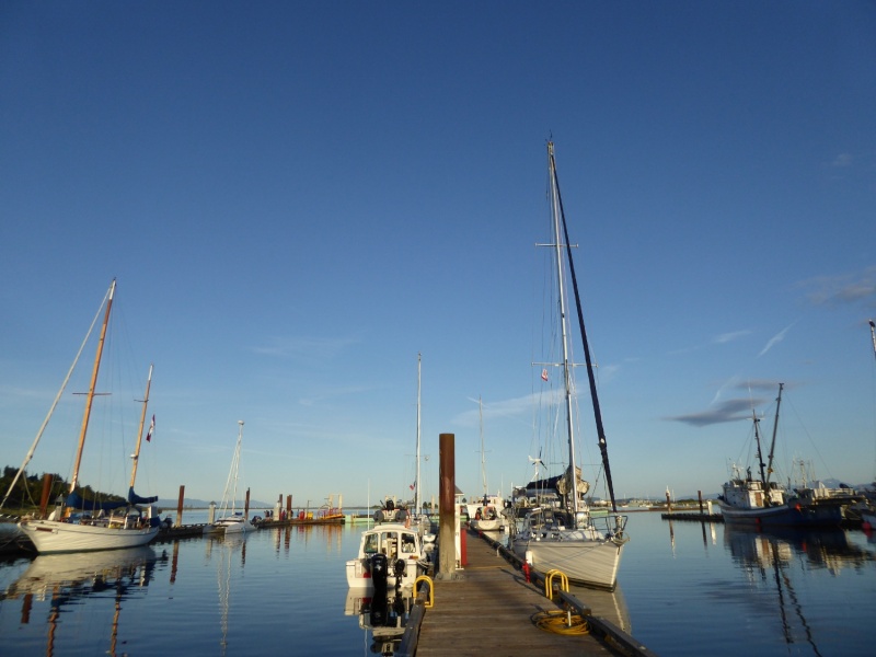 Comox visitor docks.