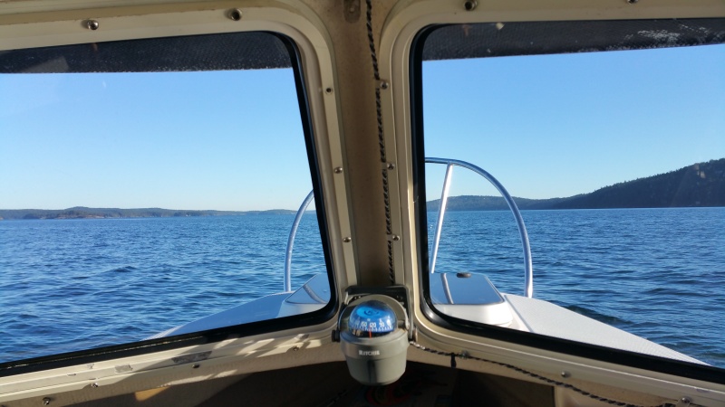 Compass mount