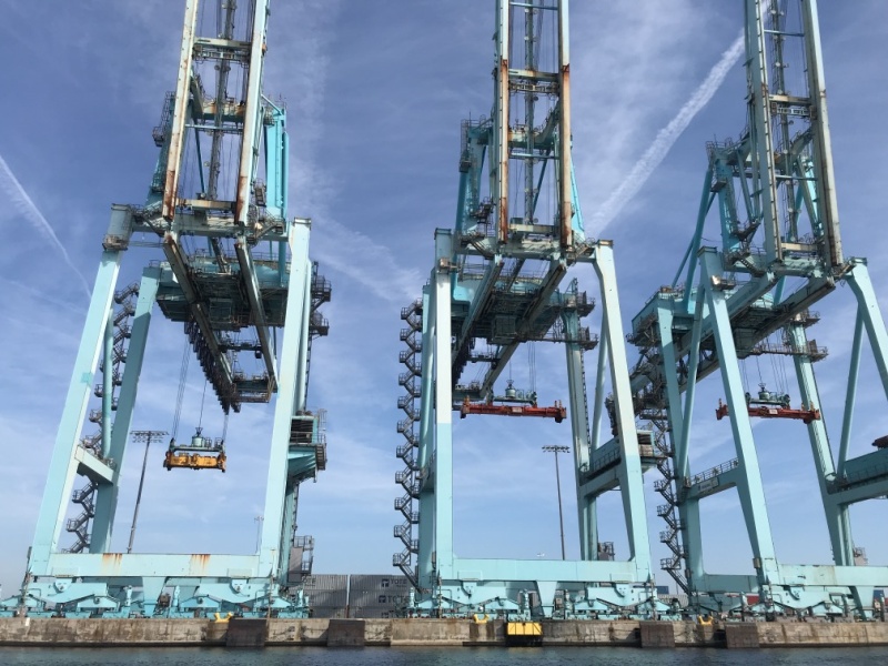 Container ship loading cranes