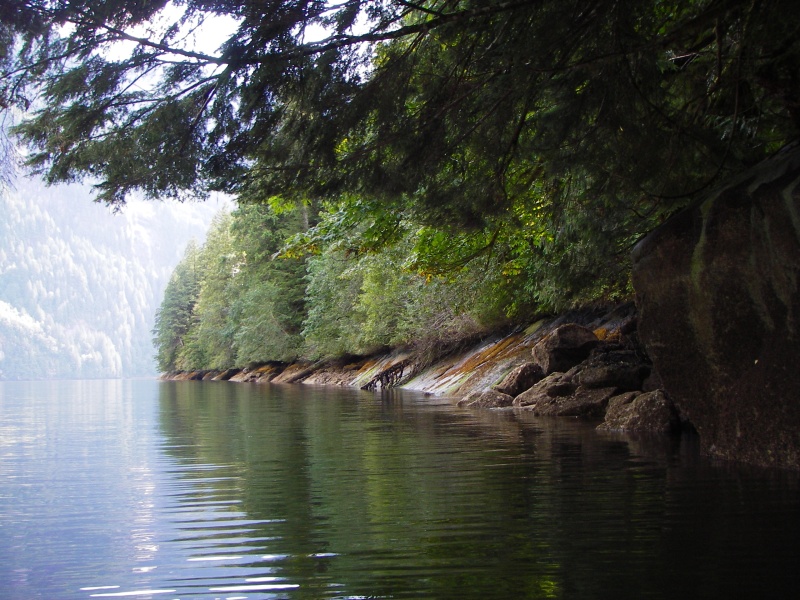 Cool shady overhang in the mists of Chatterbox Falls.