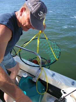 Cousin David measuring the catch