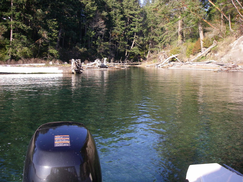 Cove off of Hale Pass Nov 21, 2007