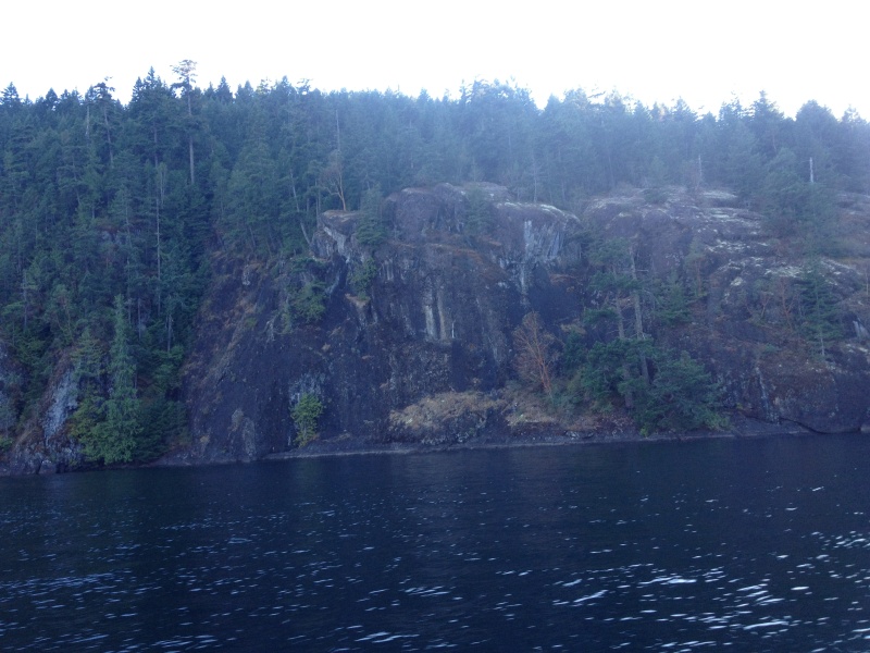 Cowichan Lake Bluffs