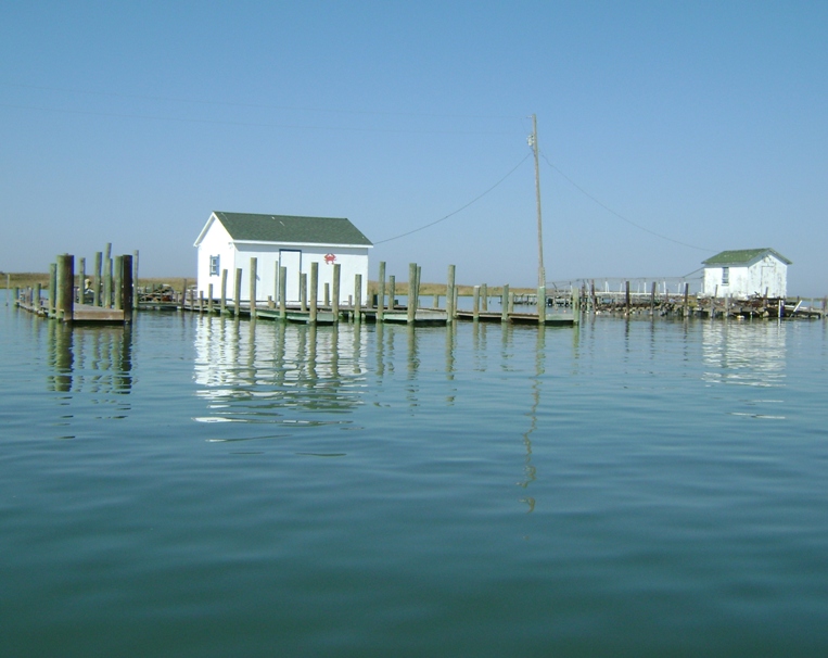 Crab houses 4