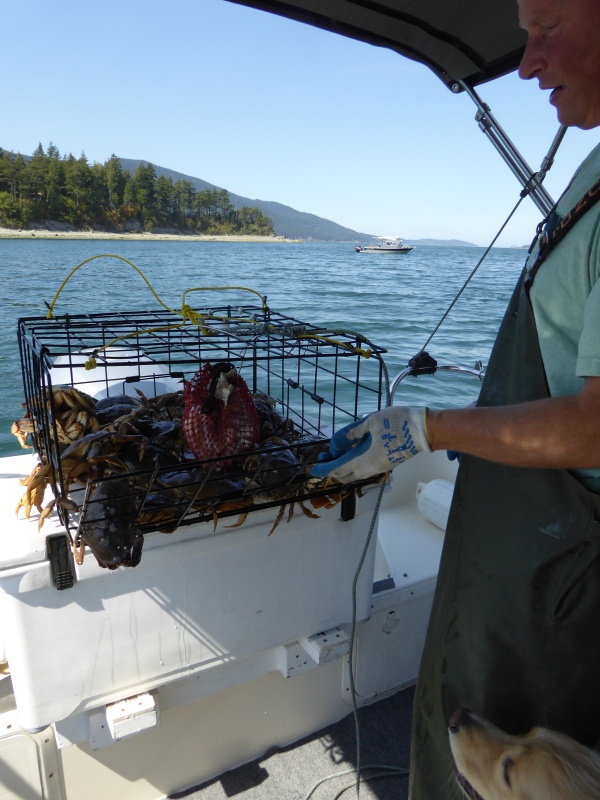 Crabbing with Patrick on the Kim Christine Friday