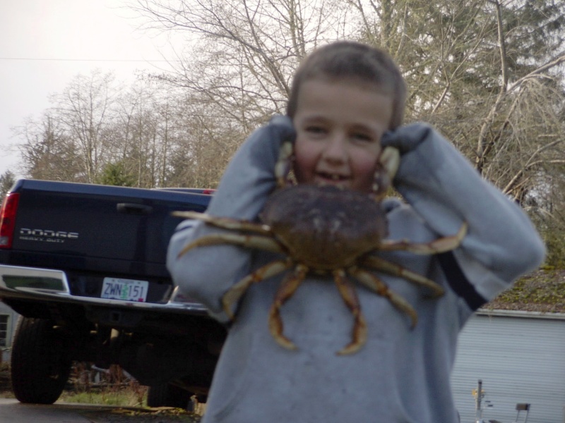 Crabby Austin