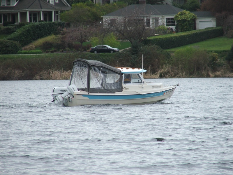 Crabby Lou - our excursion leader in our neighborhood - Andrews Bay-Seward Park