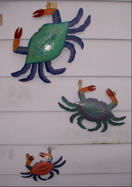 Crabs at Front Door