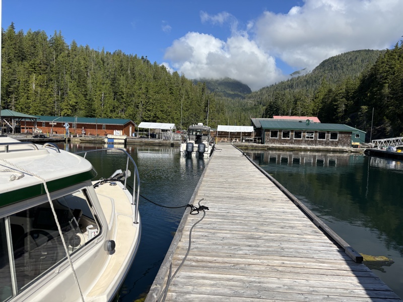 Critter Cove in Nootka Sound