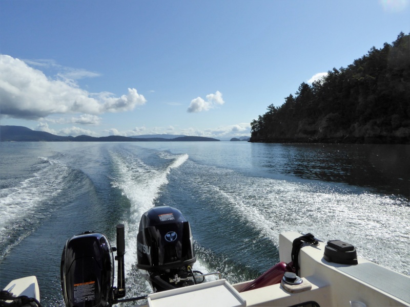 Cruising past Lopez Island on my way to Friday Harbor