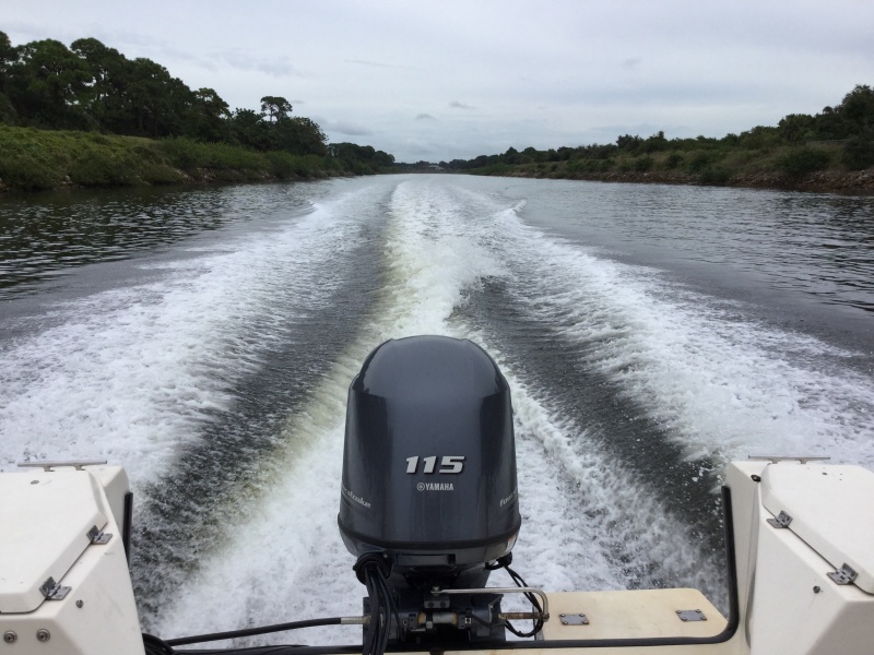 Cruising