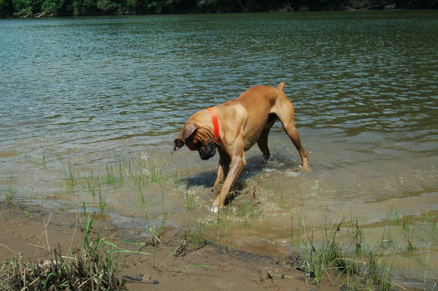 Cumberland River 7-4-09 050