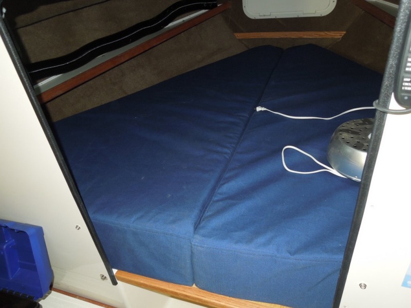 Custom made 7in memory foam mattress covered with sunbrella material.  $$$$