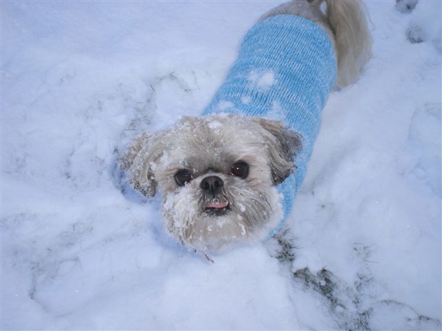 Cutie