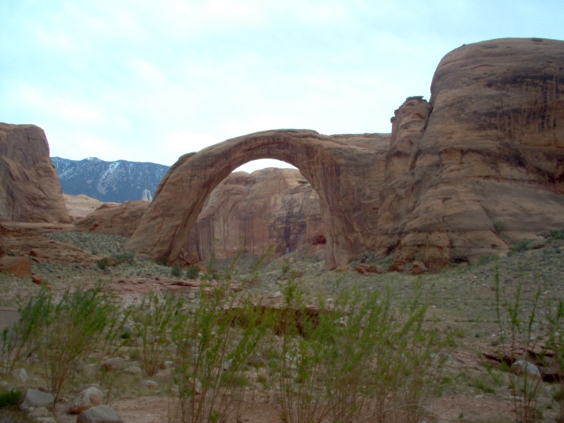 (Cygnet) Rainbow Bridge