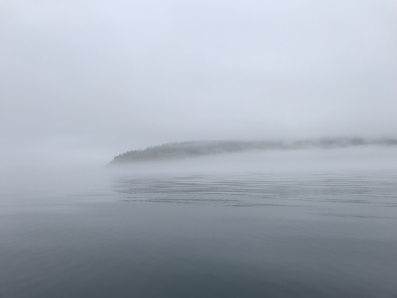 D1-1 Slowed by Fog - Sucia